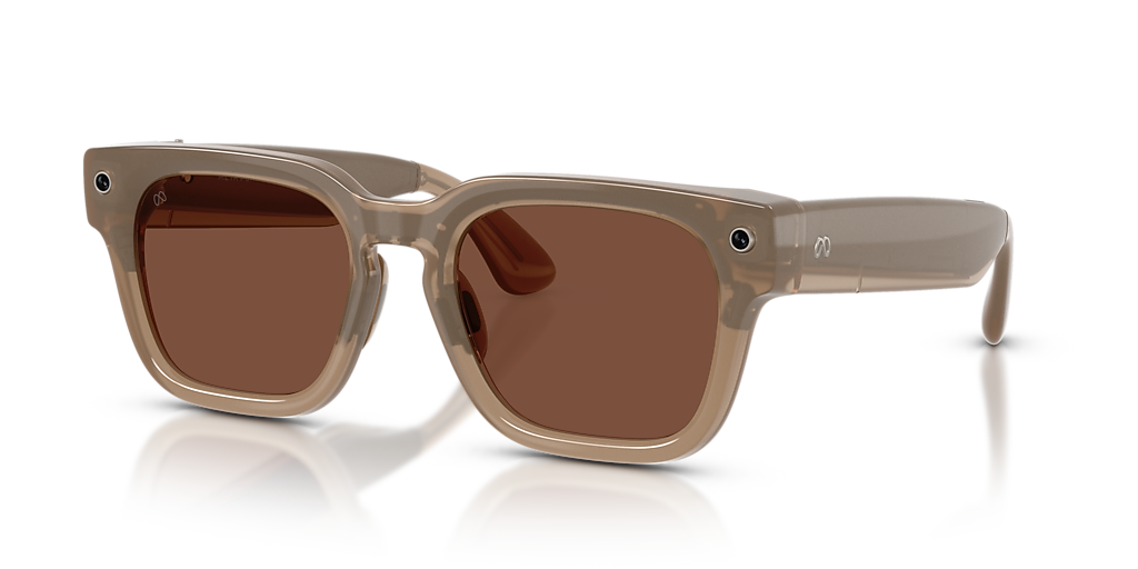Meta Glasses Wayfarer (Standard)