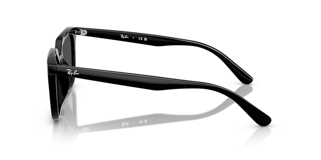 Ray-Ban RB4439D L (54 - 21) with Grey lenses and Black frame