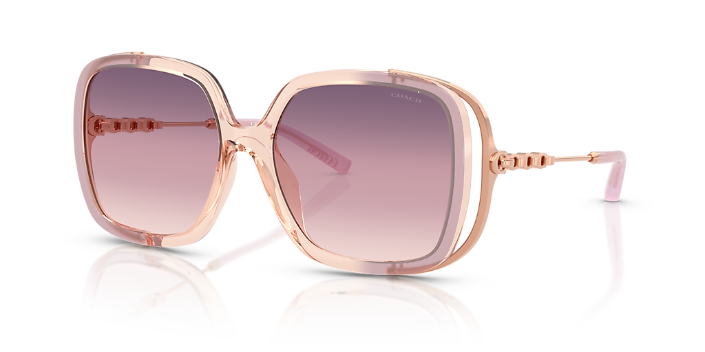 Coach CAD80 XL (56 - 16) with Violet lenses and Violet frame