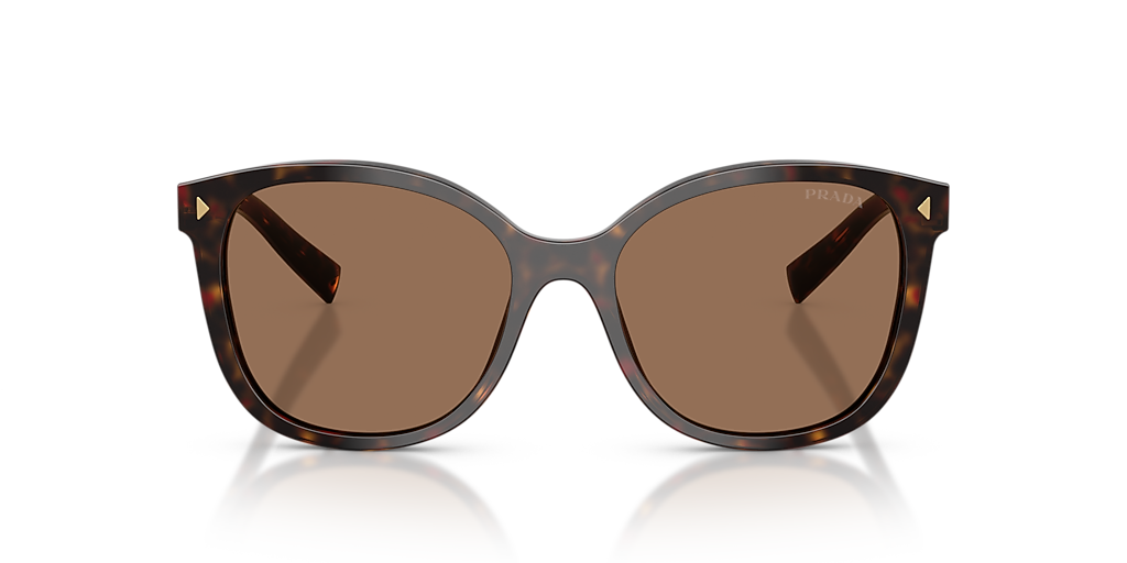 Prada PR 22ZSF M (55 - 16) with Brown lenses and Tortoise frame