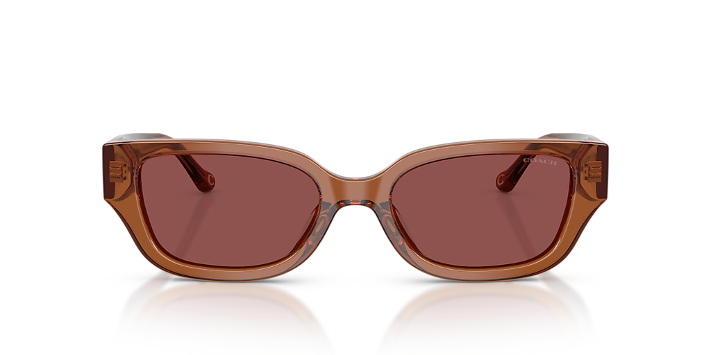 Coach CBZ52 M (53 - 19) with Violet lenses and Brown frame  display picture 2