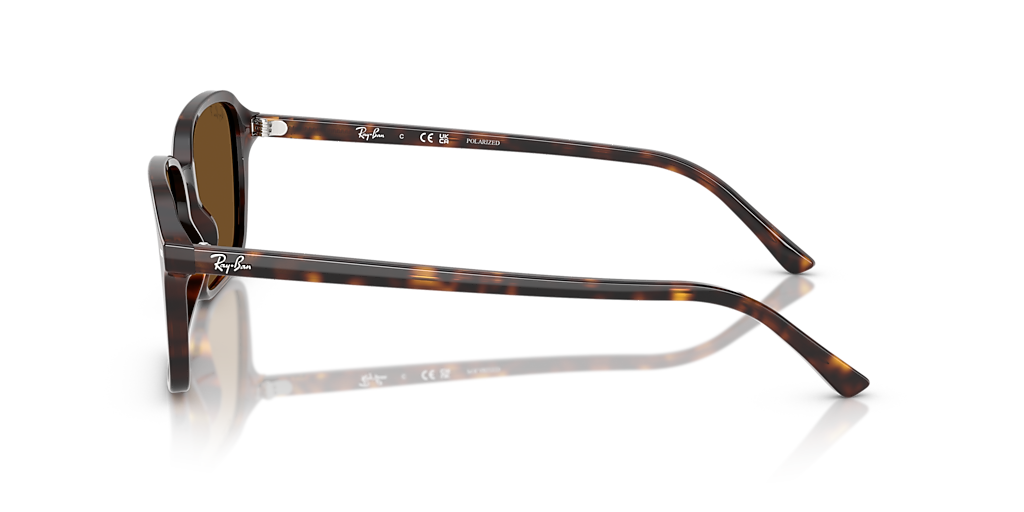 Ray-Ban Raimond L (56 - 18) with Brown lenses and Tortoise  display picture 1