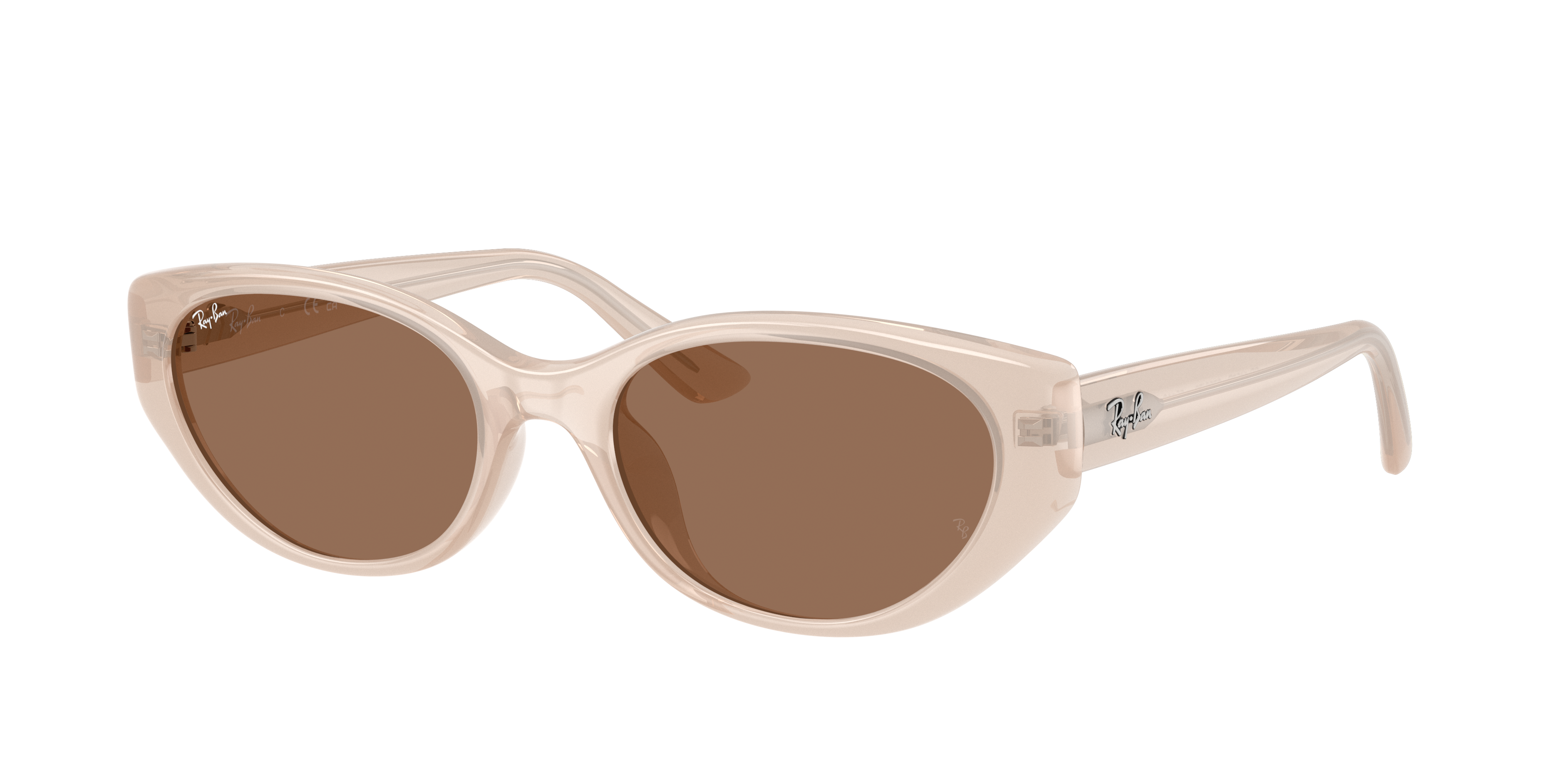 Ray-Ban RB4457D Bio-Based L (55 - 19) with Brown lenses and Brown