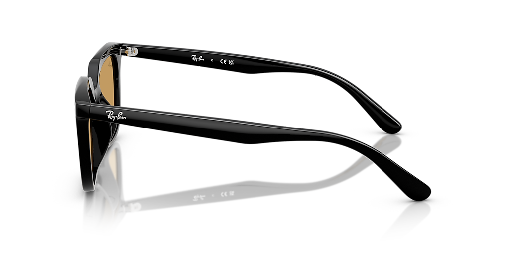 Ray-Ban RB4439D L (54 - 21) with Brown lenses and Black frame