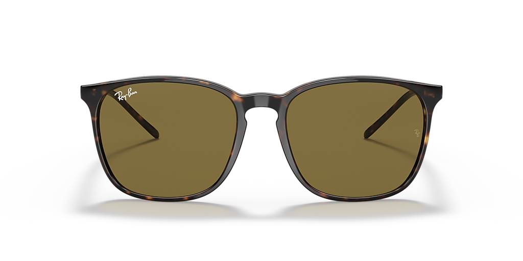 Ray-Ban サングラス　RB4387F 126774 55 Ray-Ban RB4387 M (55 - 18) with Brown lenses and Tortoise frame