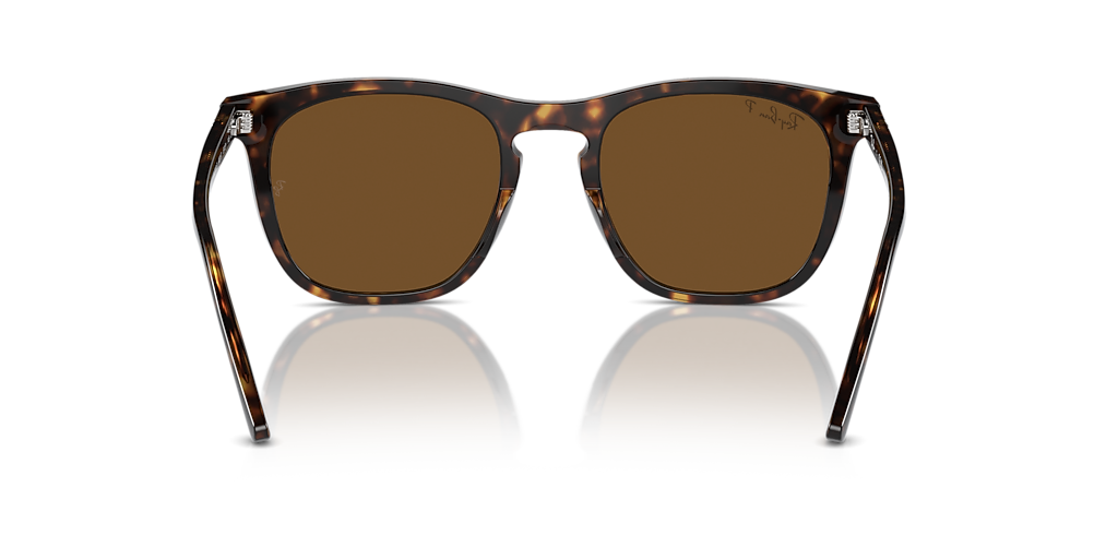 Ray-Ban RB2210 L (53 - 21) with Brown lenses and Tortoise frame