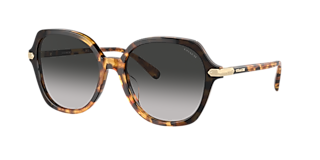 Coach CW189 XL (58 - 16) with Grey lenses and Gold frame