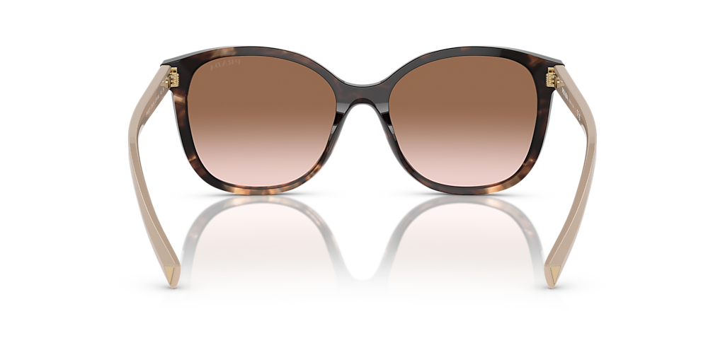 Prada PR 22ZSF M (55 - 16) with Brown lenses and Tortoise frame