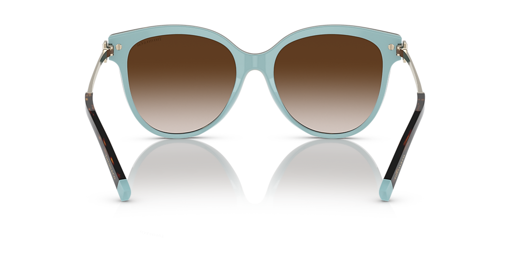 Tiffany & Co. TF4193B XL (55 - 17) with Brown lenses and Brown