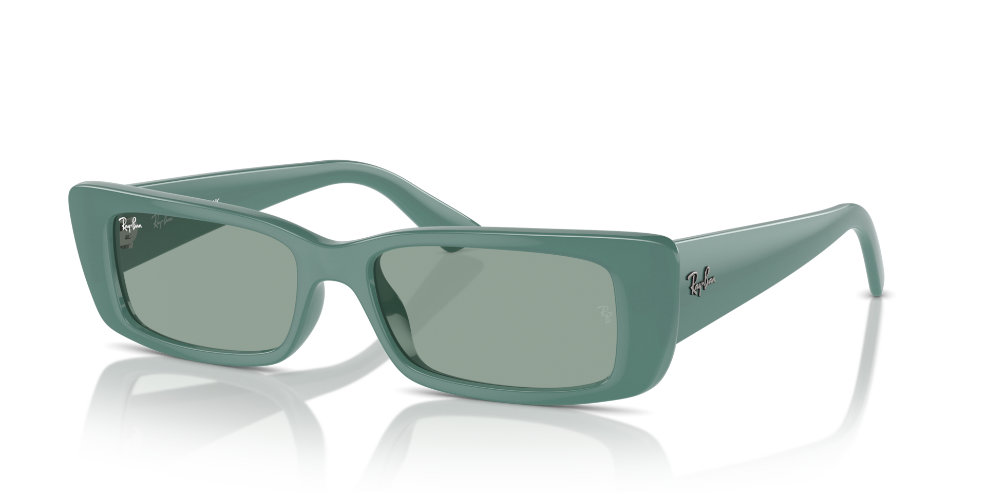 Ray-Ban Teru Bio-Based M (54 - 17) with Green lenses and Green