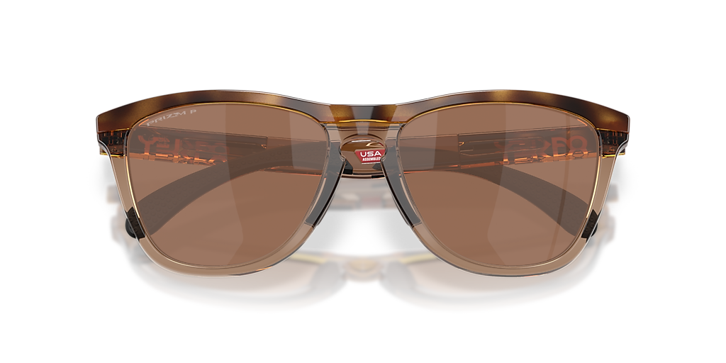 Oakley Frogskins™ Range XL XL (58 - 17) with Brown lenses and