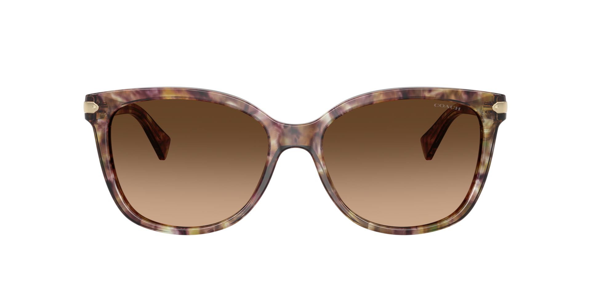 Coach L109 L (57 - 17) with Brown lenses and Tortoise frame