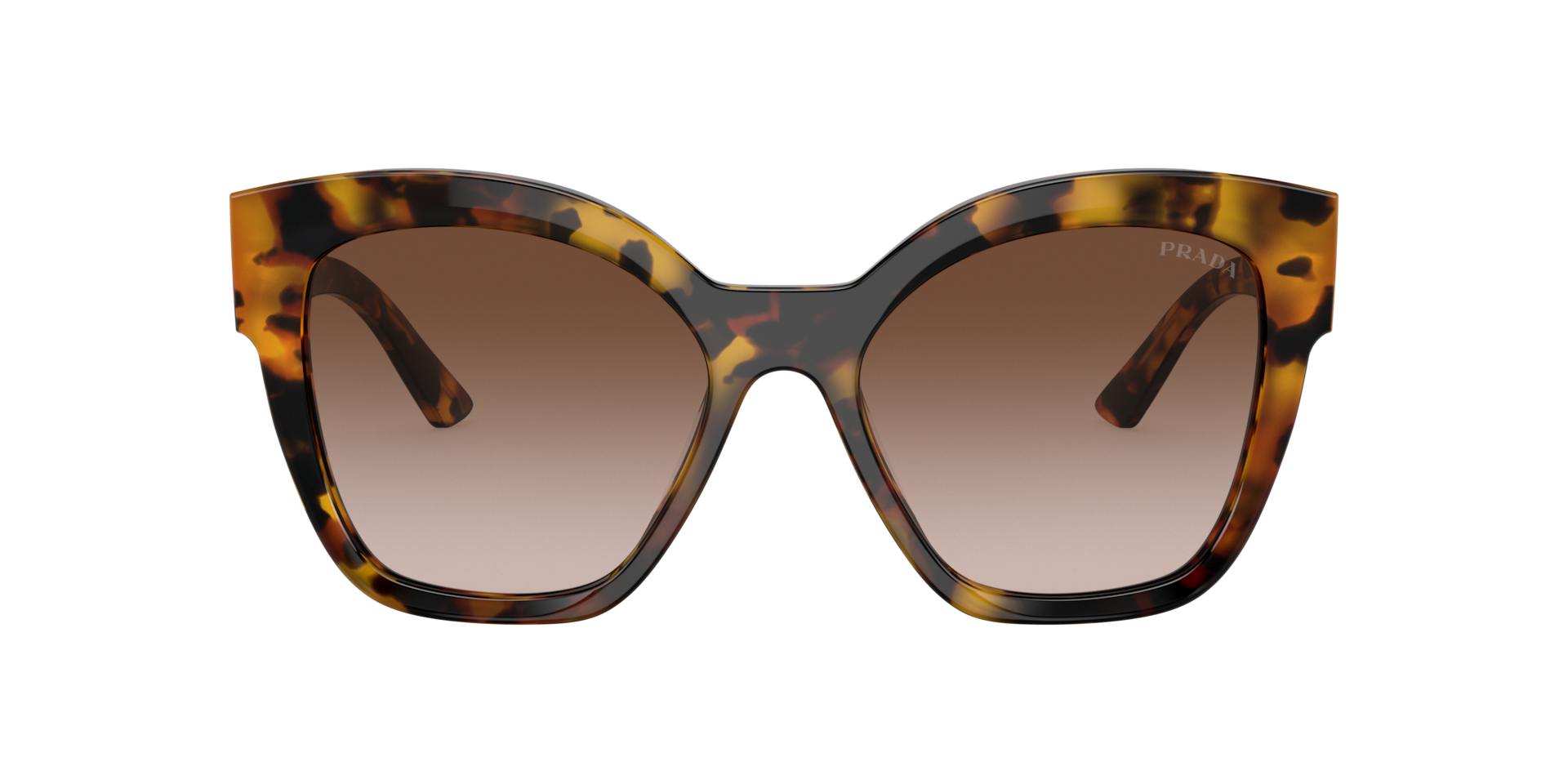 Prada PR 17ZS M (54 - 18) with Brown lenses and Tortoise frame