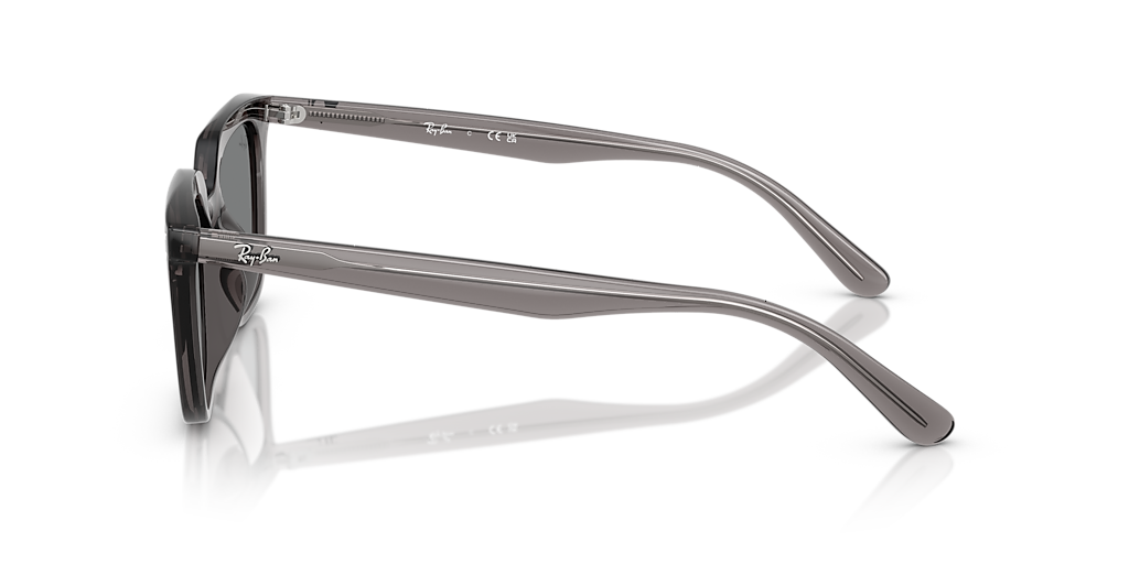 Ray-Ban RB4439D L (54 - 21) with Grey lenses and Grey frame