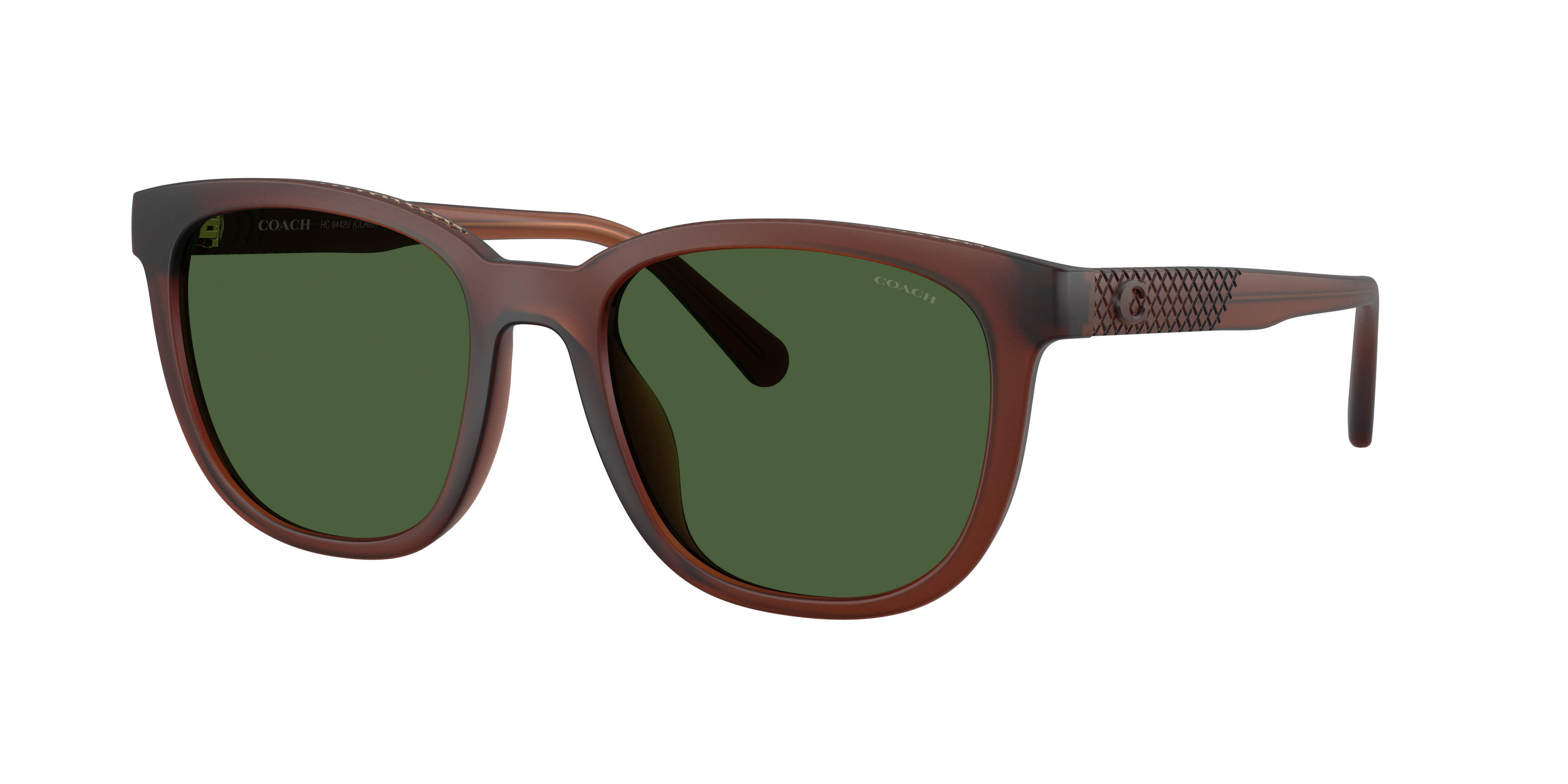 Coach Man Sunglass CCA00 -  Frame color: Matte Transparent Brown, Lens color: Green Solid