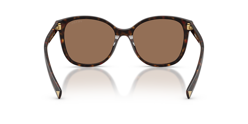 Prada PR 22ZSF M (55 - 16) with Brown lenses and Tortoise frame
