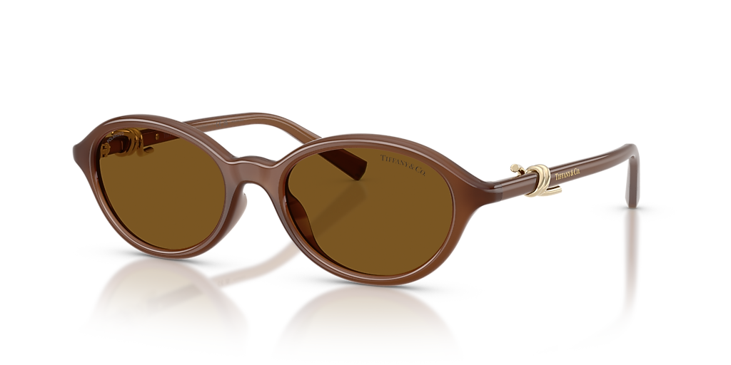 Tiffany & Co. ブラウンサングラス Tiffany & Co. TF4266U M (51 - 18) with Brown lenses and Gold frame
