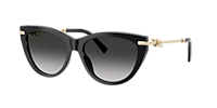 Tiffany & Co. TF4253 XL (55 - 16) with Blue lenses and Black frame