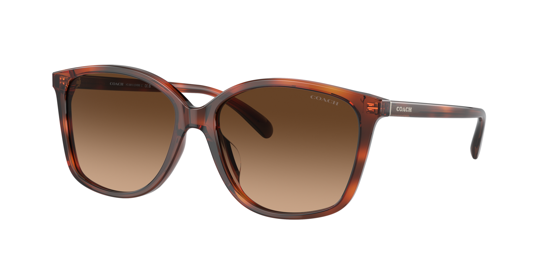 Coach Femme Sunglass CH558 - Couleur du Monture caille de tortue Caramel Couleur de Lentille Dgrad marron 66 €