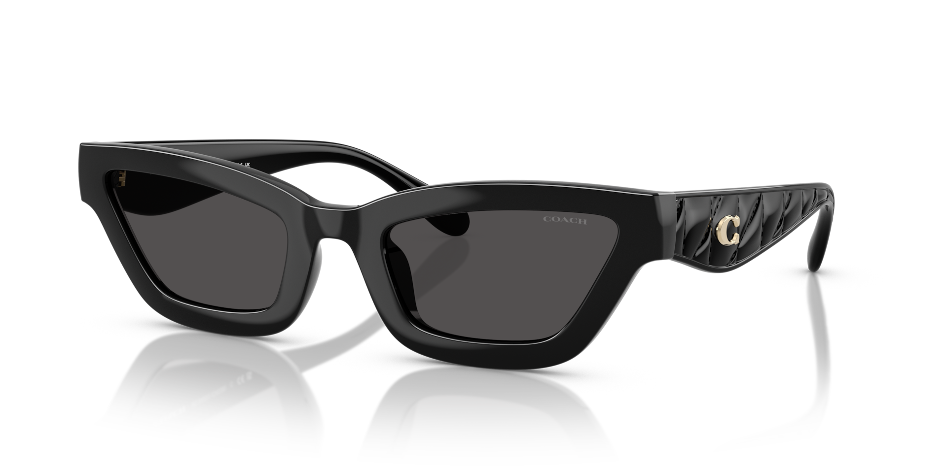 Coach CAD28 XL (55 - 23) with Grey lenses and Black frame
