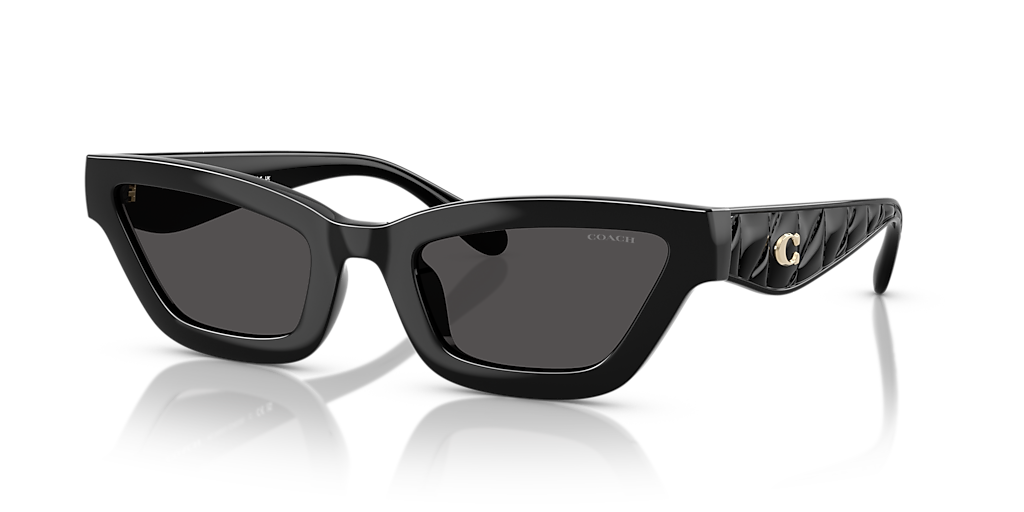Coach CAD28 XL (55 - 23) with Grey lenses and Black frame