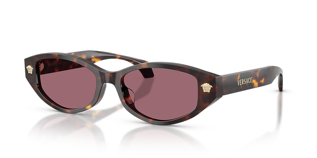 Versace VE4512D XL (54 - 17) with Violet lenses and Tortoise frame
