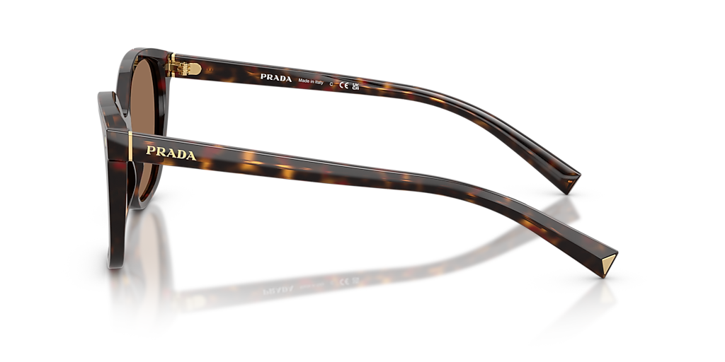Prada PR 22ZS S (53 - 17) with Brown lenses and Tortoise frame
