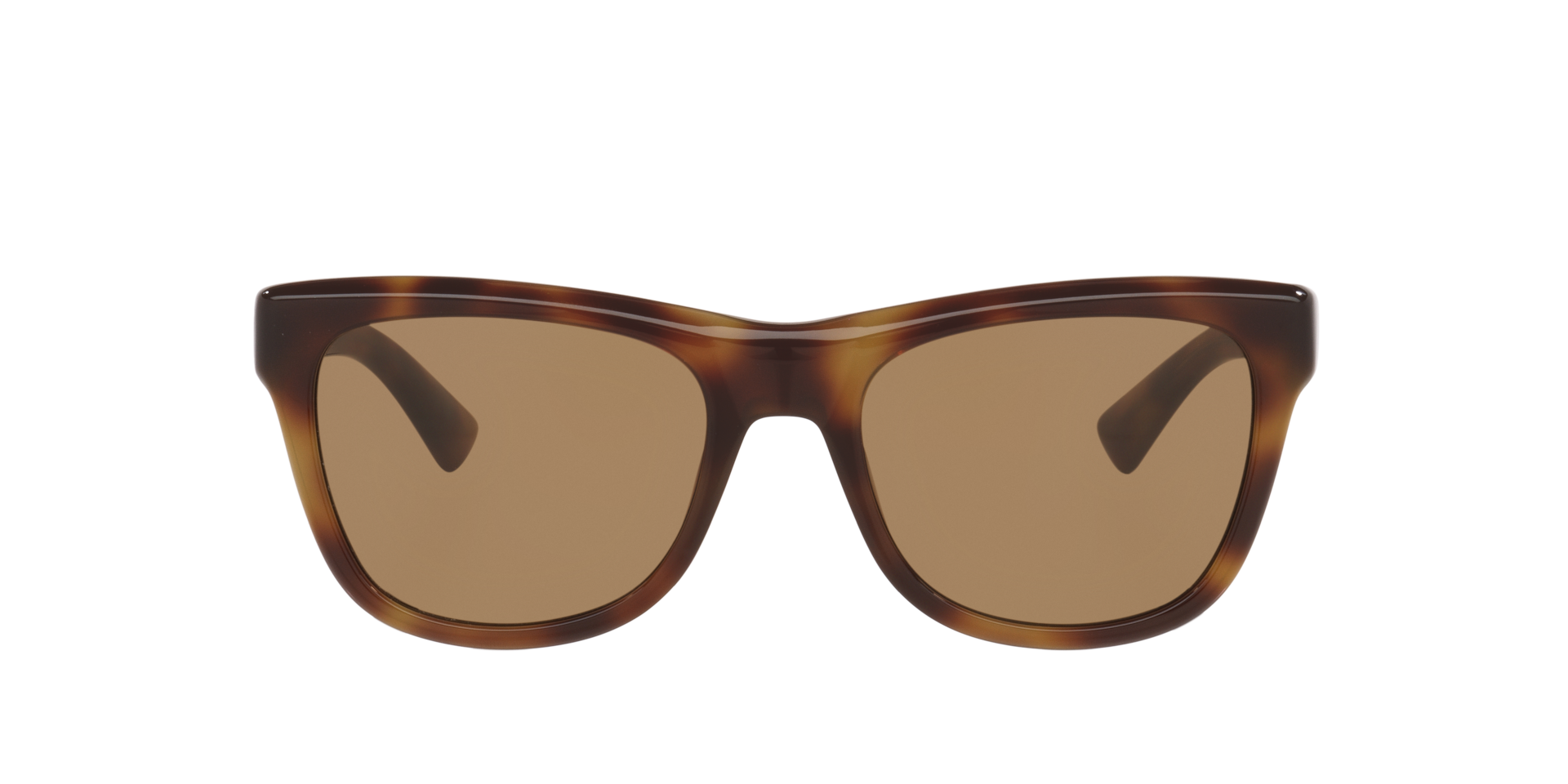 Saint Laurent SL816