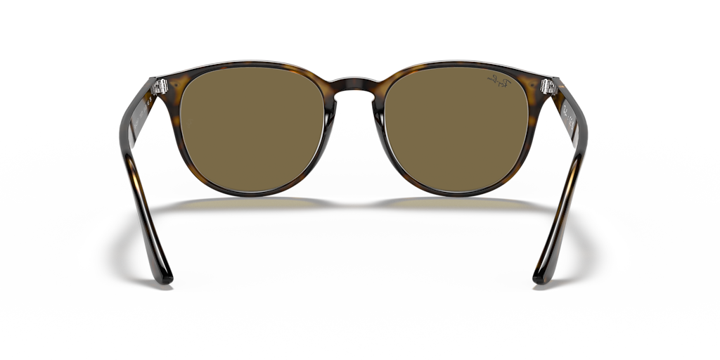 Ray-Ban RB4259 L (53 - 20) with Brown lenses and Tortoise frame