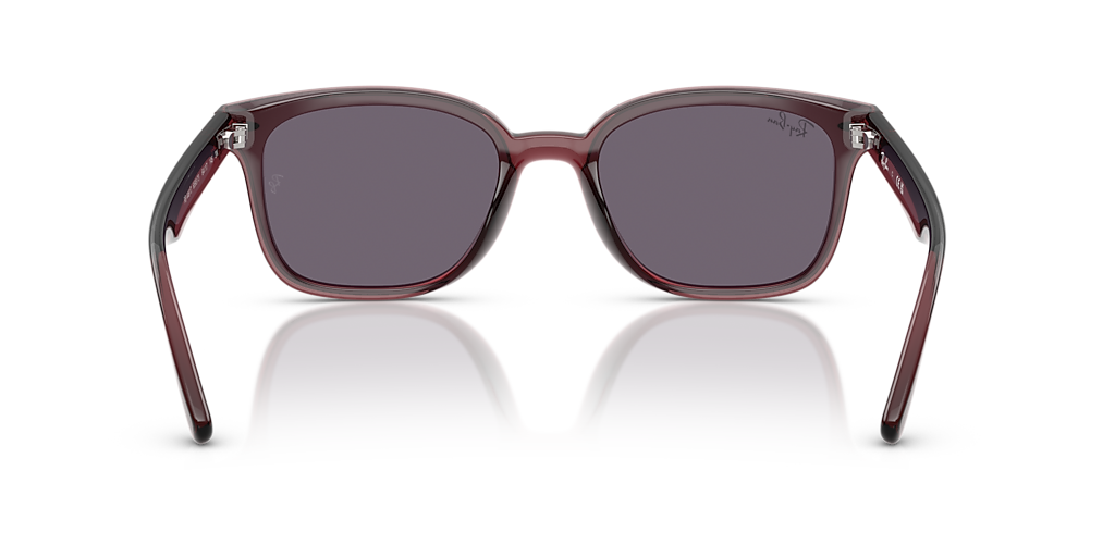 Ray-Ban RB4461D L (64 - 17) with Violet lenses and Brown frame