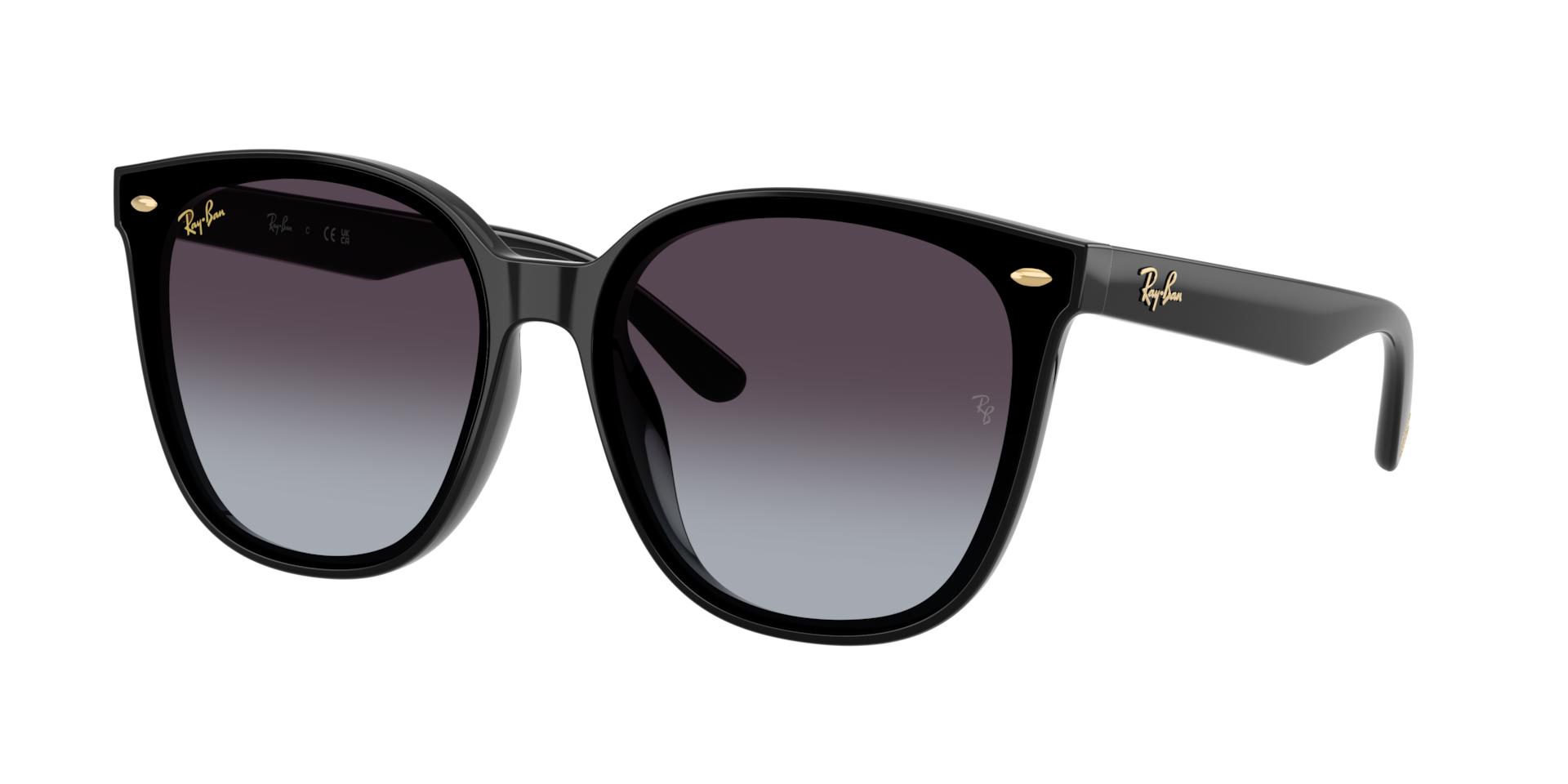 Ray-Ban RB4423D Year Of The Snake Edition XL (66 - 15) com Lentes