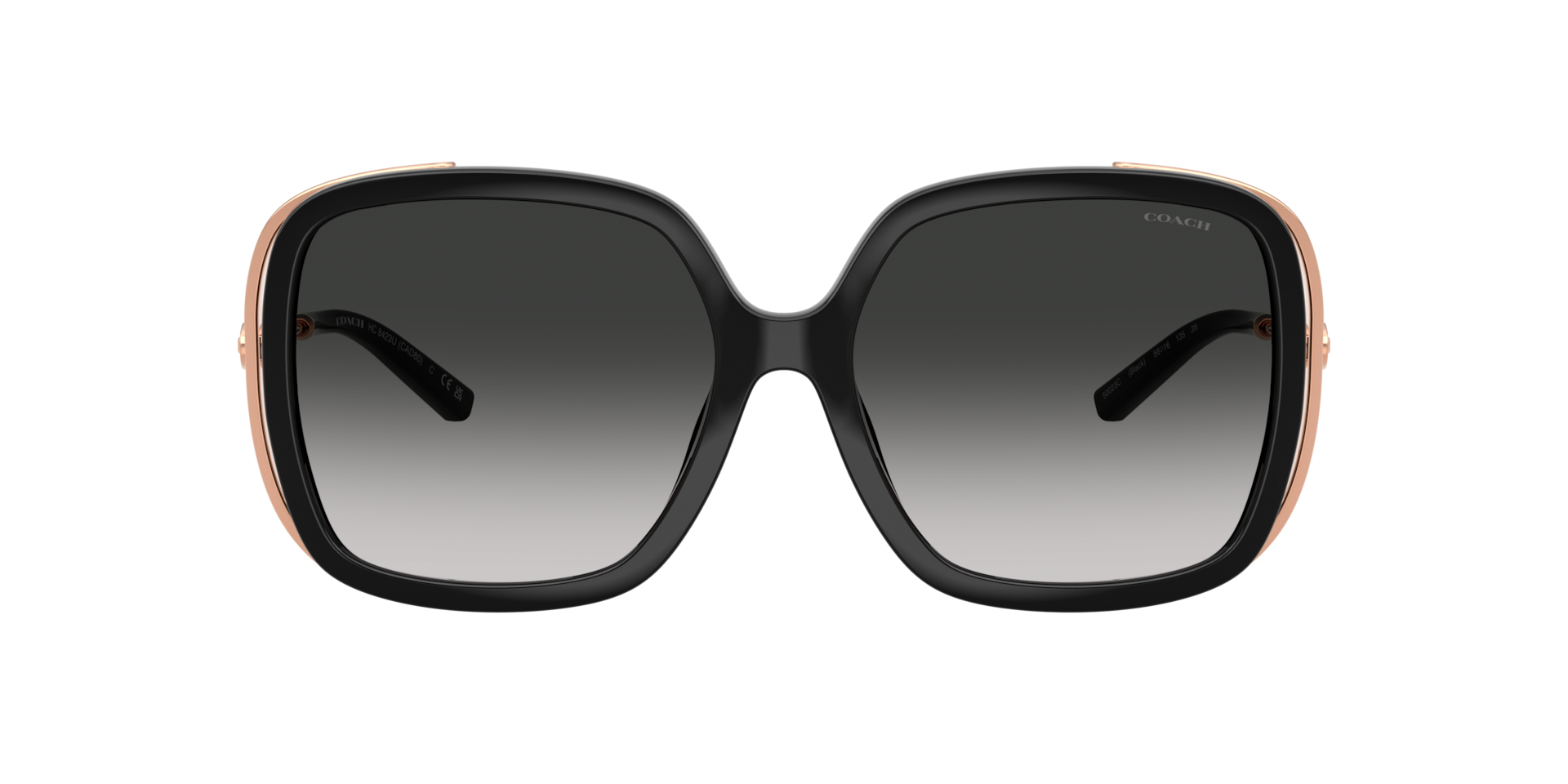 Coach CAD80 XL (56 - 16) with Grey lenses and Black frame