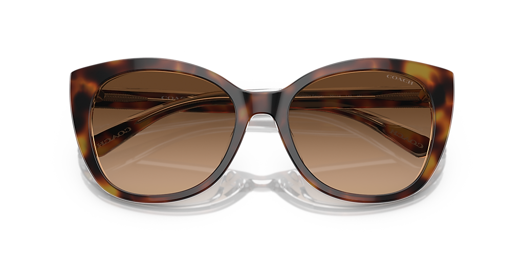 Coach CH566 M (55 - 18) with Brown lenses and Tortoise frame