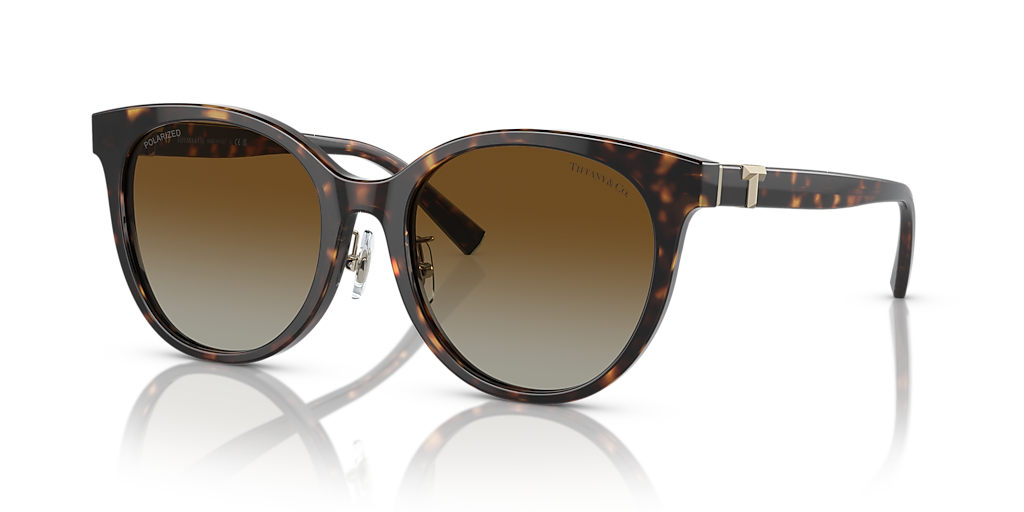Tiffany & Co. TF4209D
