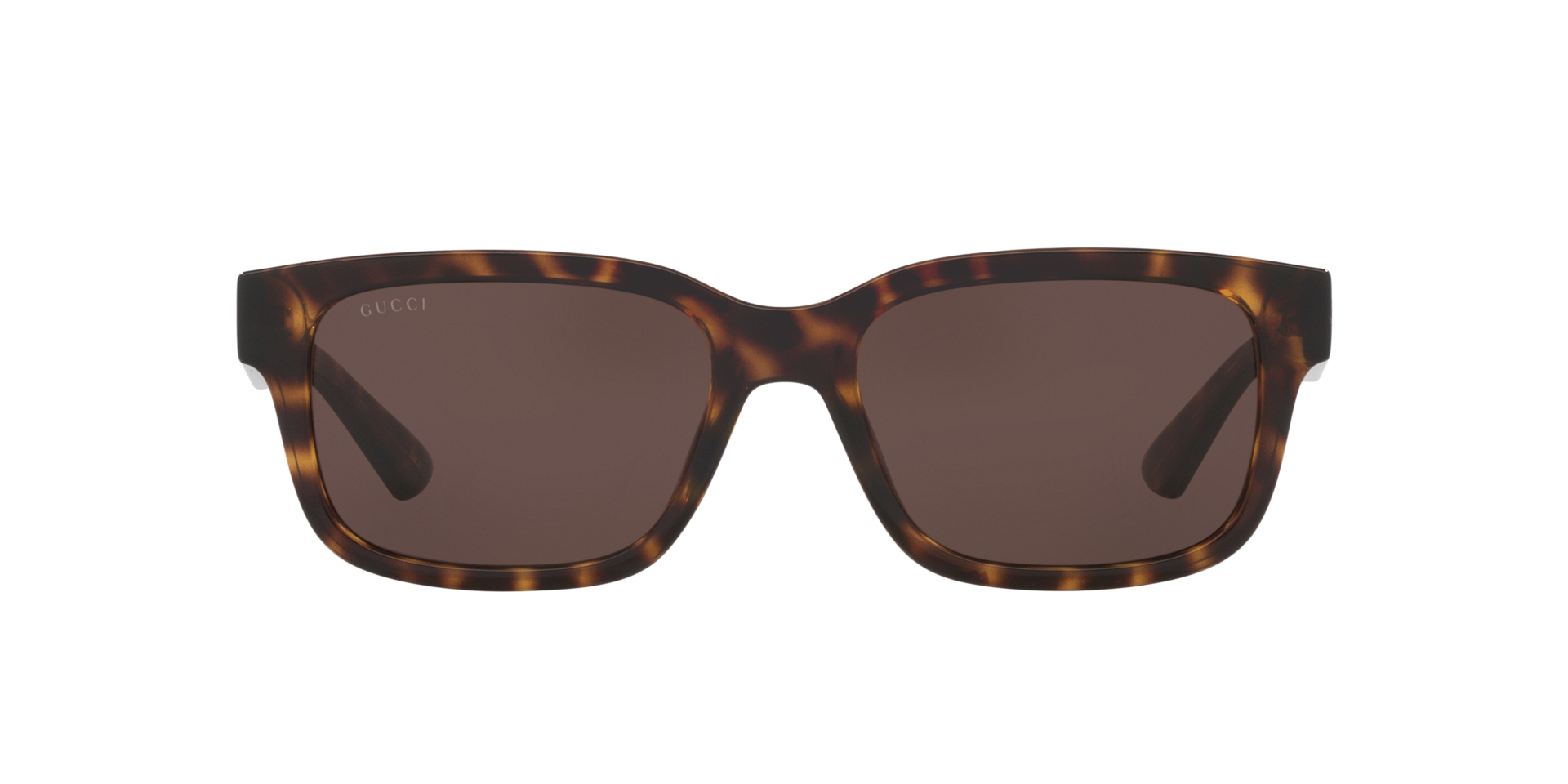 Gucci GG1583S L (56 - 18) with Brown lenses and Tortoise frame