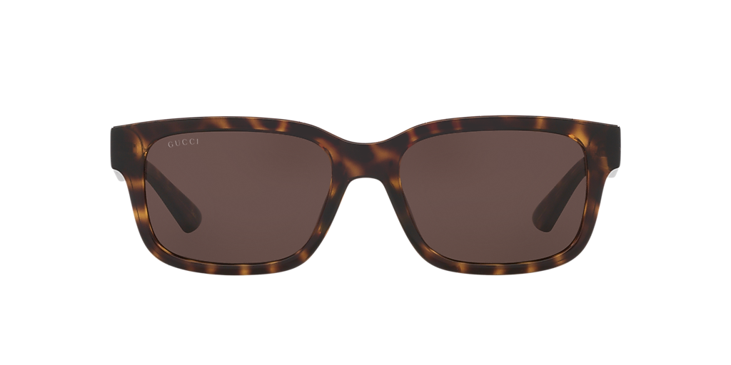 Gucci GG1583S L (56 - 18) with Brown lenses and Tortoise frame