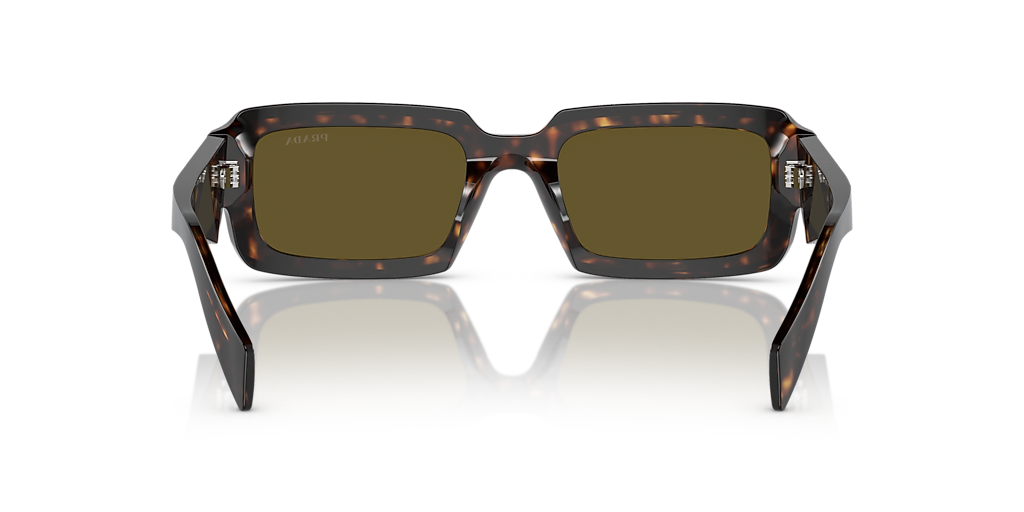 Prada PR 27ZS L (54 - 21) with Brown lenses and Tortoise frame
