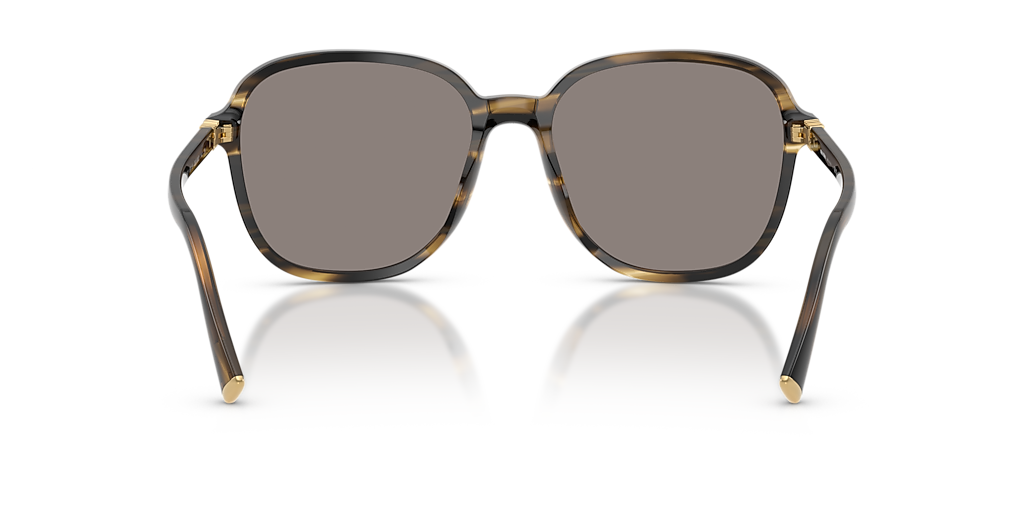 Miu Miu MU B01S L (58 - 18) with Grey lenses and Tortoise frame