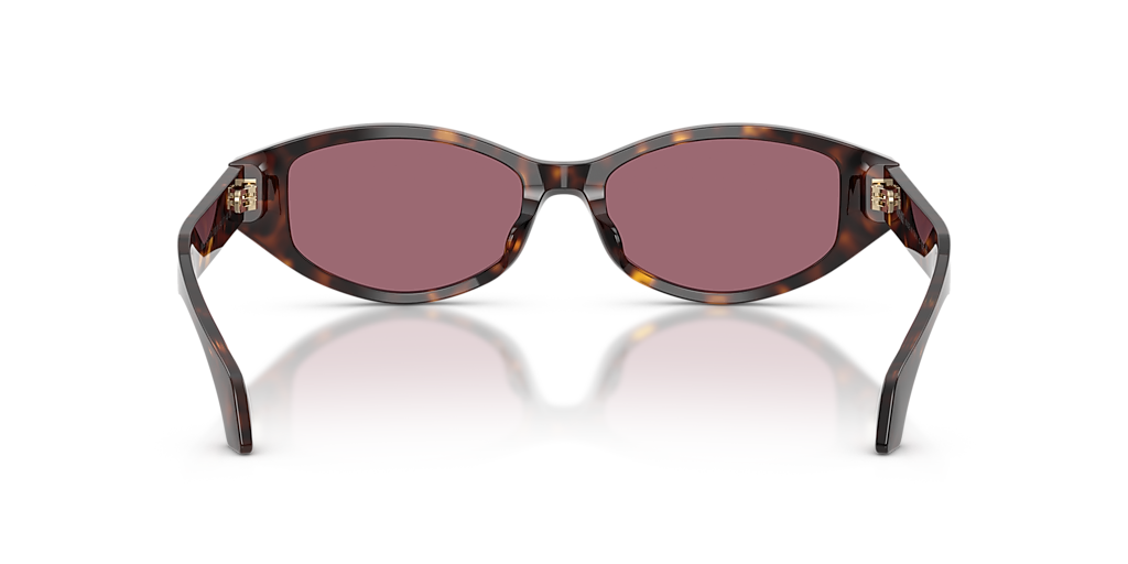 Versace VE4512D XL (54 - 17) with Violet lenses and Tortoise frame