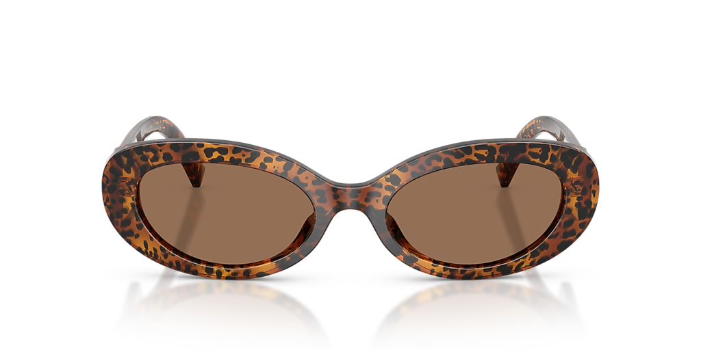 Dolce&Gabbana DG4537 S (53 - 19) with Brown lenses and Brown frame