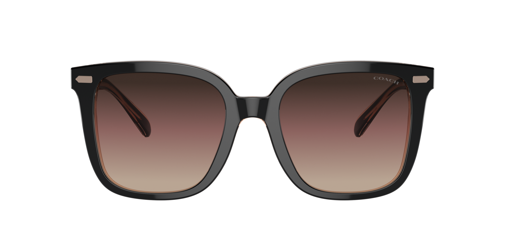 Coach HC8381F CL919 XL (56 - 19) with Violet lenses and Black