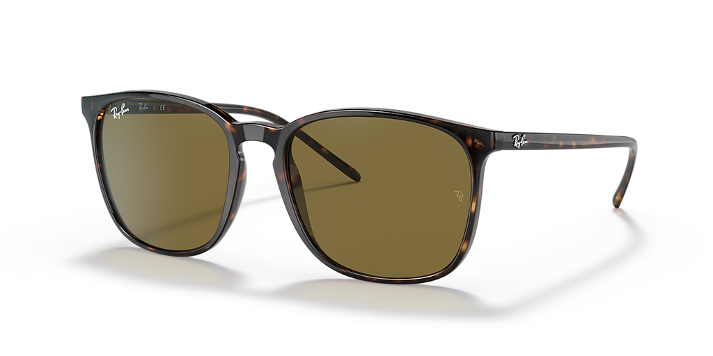 Ray-Ban RB4387 M (55 - 18) with Brown lenses and Tortoise frame