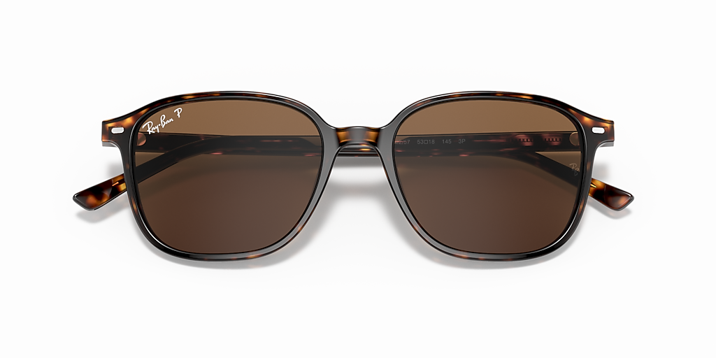 Ray-Ban Leonard M (53 - 18) with Brown lenses and Tortoise frame
