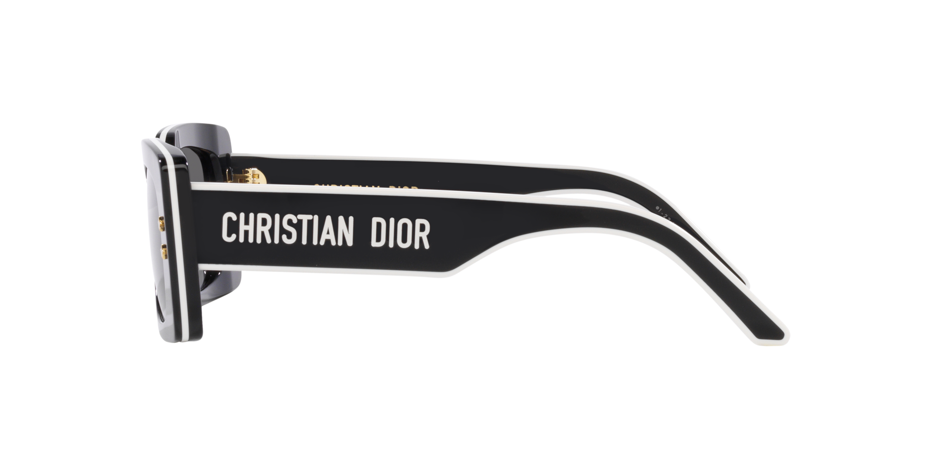 DiorPacific S1U