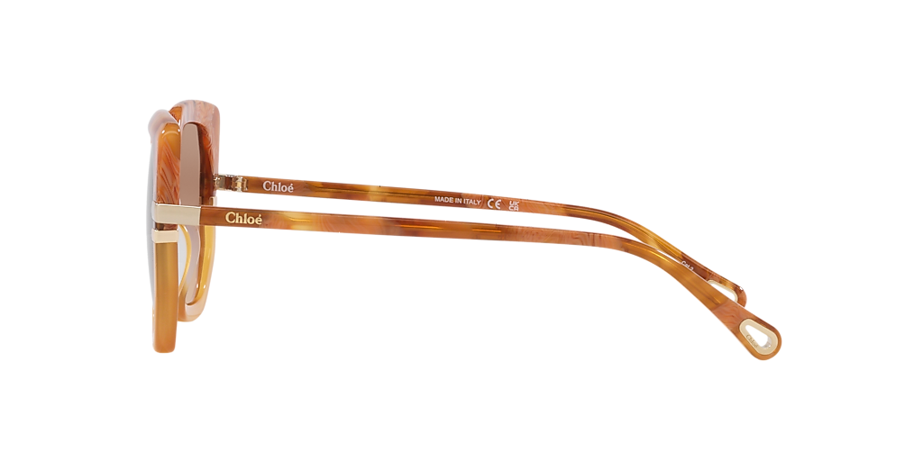 Chloé CH0240S L (53 - 23) with Brown lenses and Brown frame