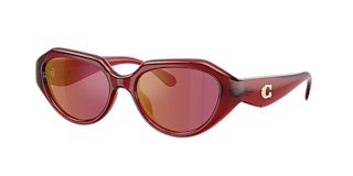 Coach HC8385U CL910 M (54 - 17) with Brown lenses and Tortoise