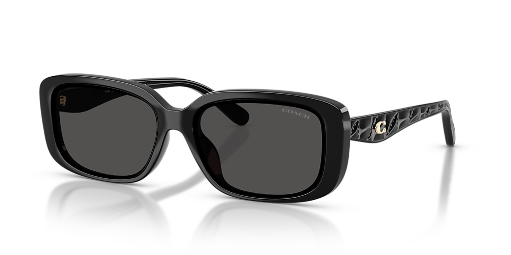 Coach CBY86 L (57 - 15) with Grey lenses and Black frame