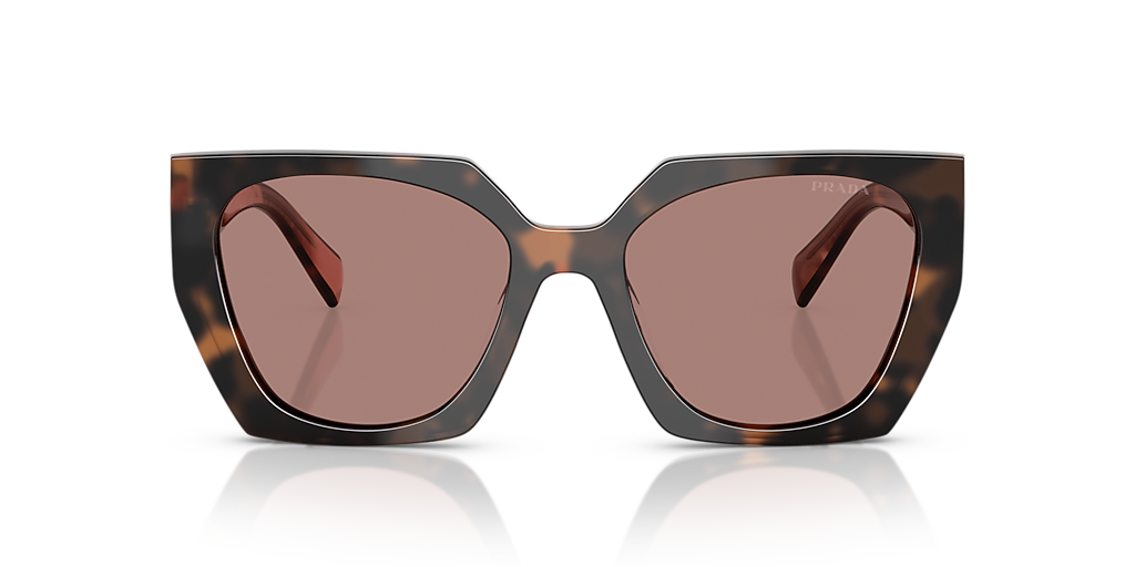 Prada PR 15WS M (54 - 19) with Brown lenses and Tortoise  display picture 1