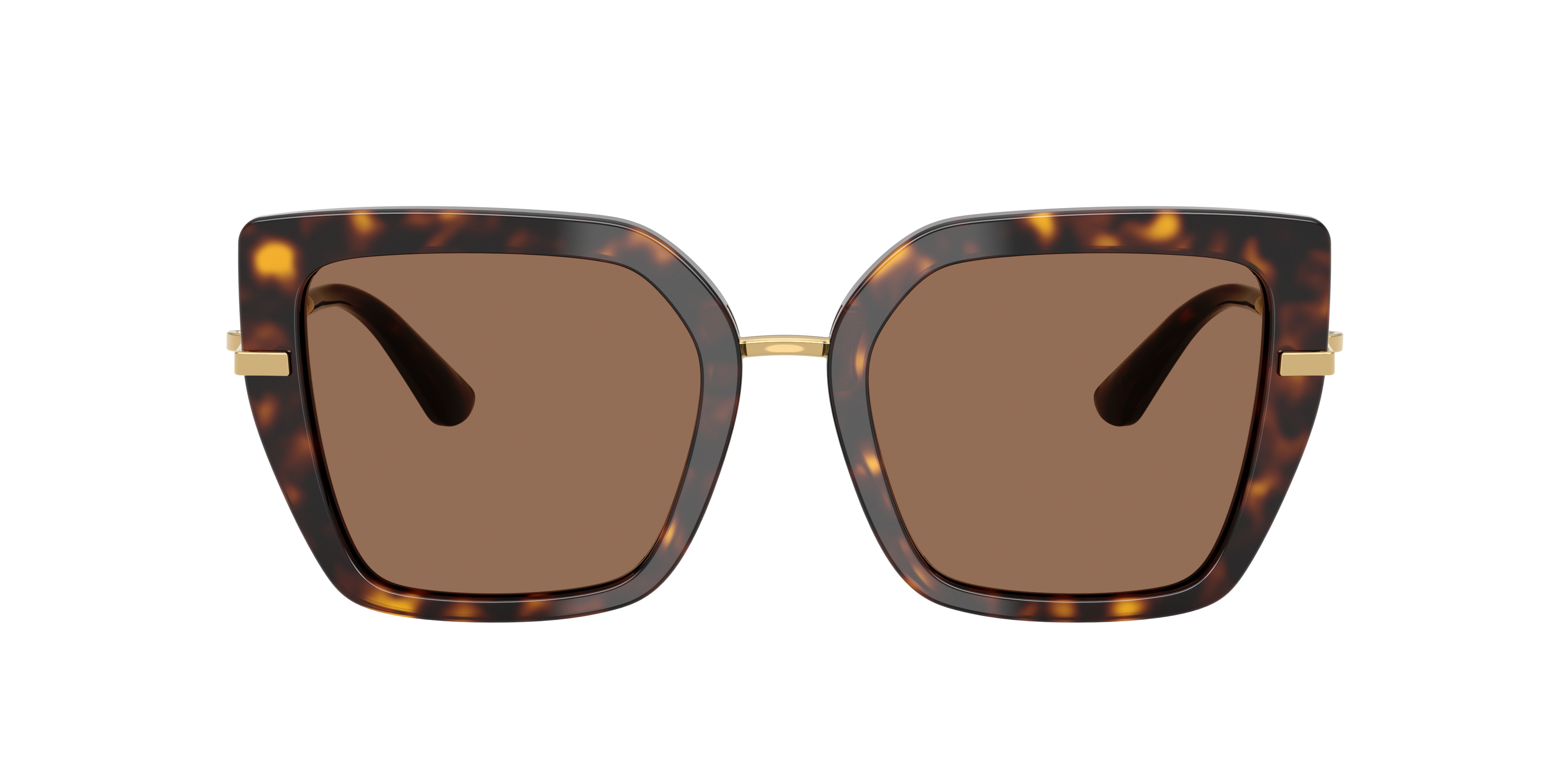 Dolce&Gabbana DG4474 XL (53 - 20) with Brown lenses and Tortoise