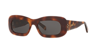 Celine CL40294I S (53 - 19) with Grey lenses and Tortoise  display picture 2
